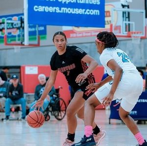 Meet your Posher, Merry